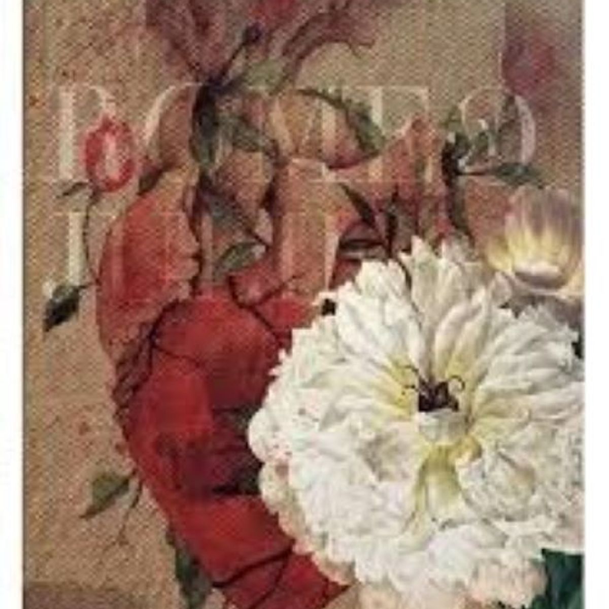 PENGUIN RANDOM HOUSE - Libro Romeo Y Julieta