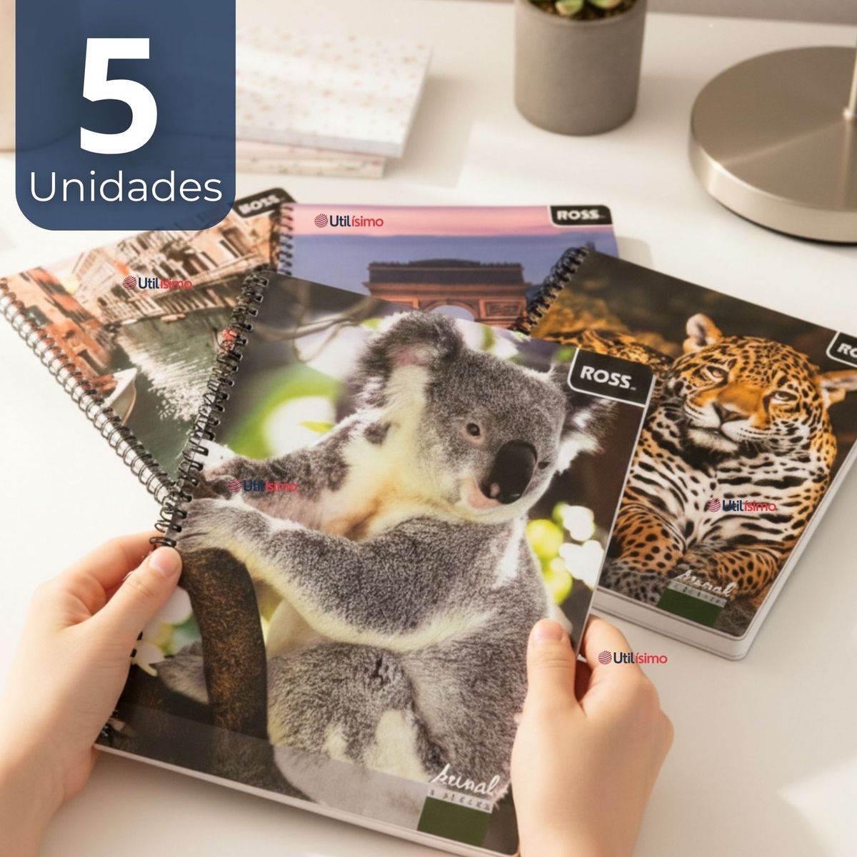 UTILISIMO - Pack 5 Cuadernos Universitario Animal & Places Ross 7mm 100 hojas Diseños Surtidos