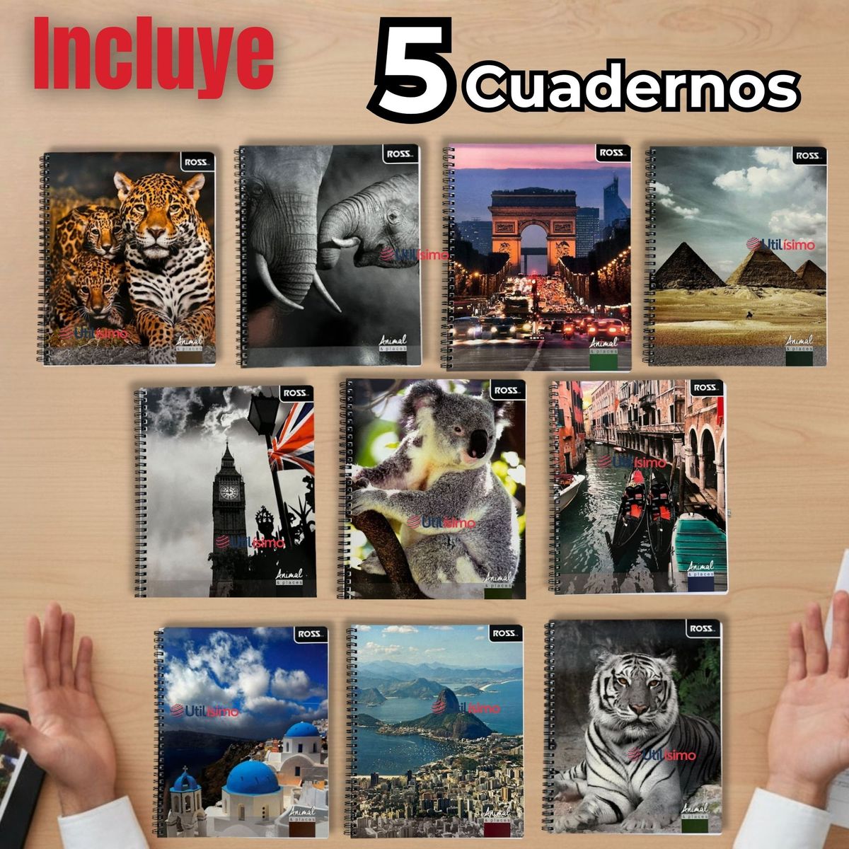 UTILISIMO - Pack 5 Cuadernos Universitario Animal & Places Ross 7mm 100 hojas Diseños Surtidos