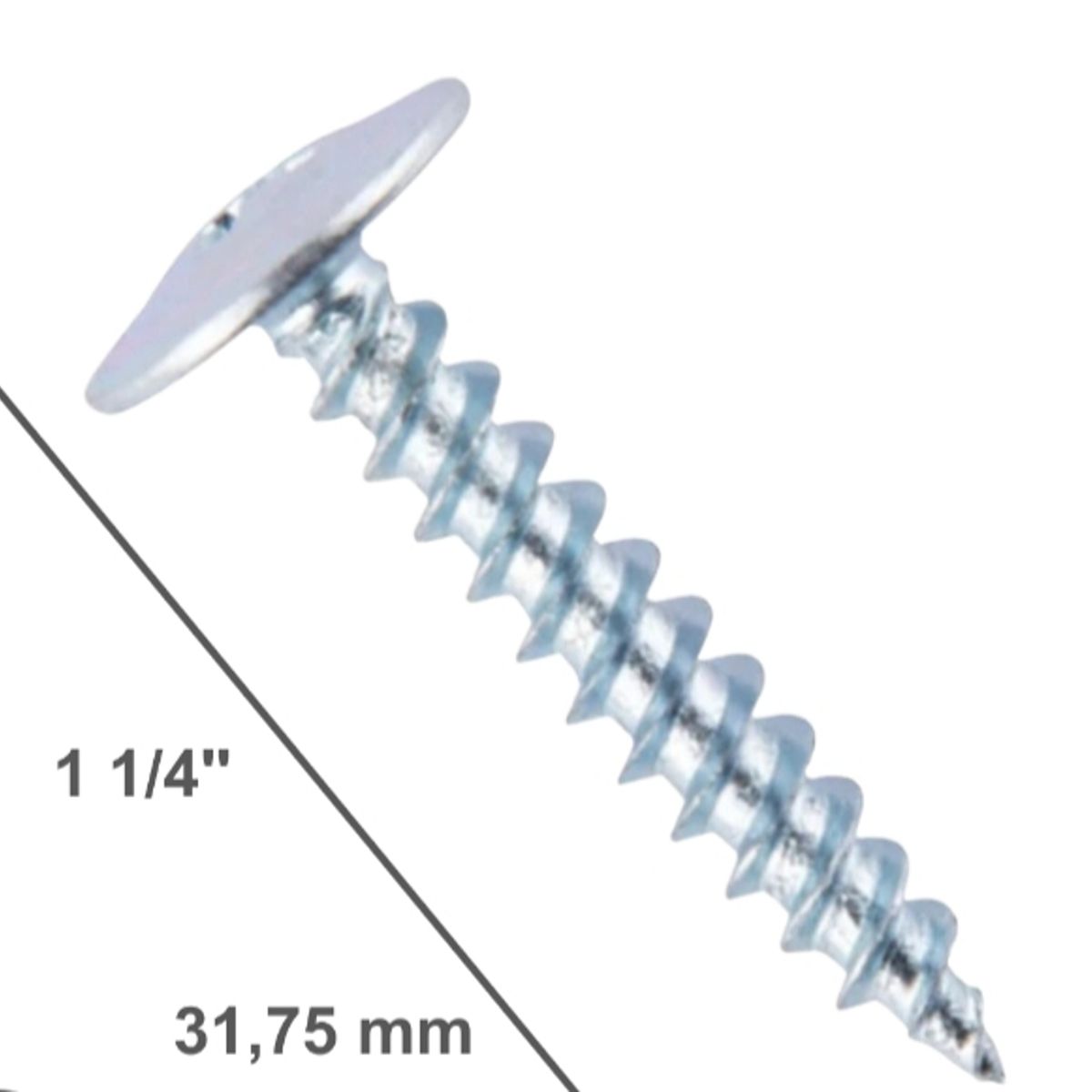 GENERICO - Tornillo Cabeza De Lenteja 8X1 1/4 Punta Fina 1000 Unidades