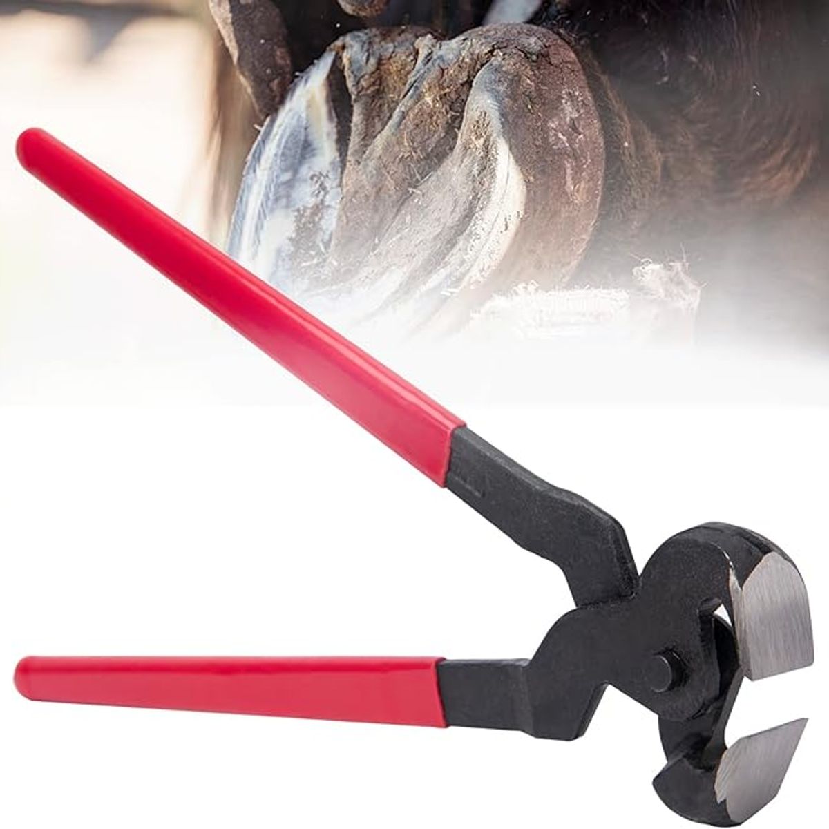 KINDA NICE - Tenaza Despalmadora Caballo Cortacasco 16 Pulgadas