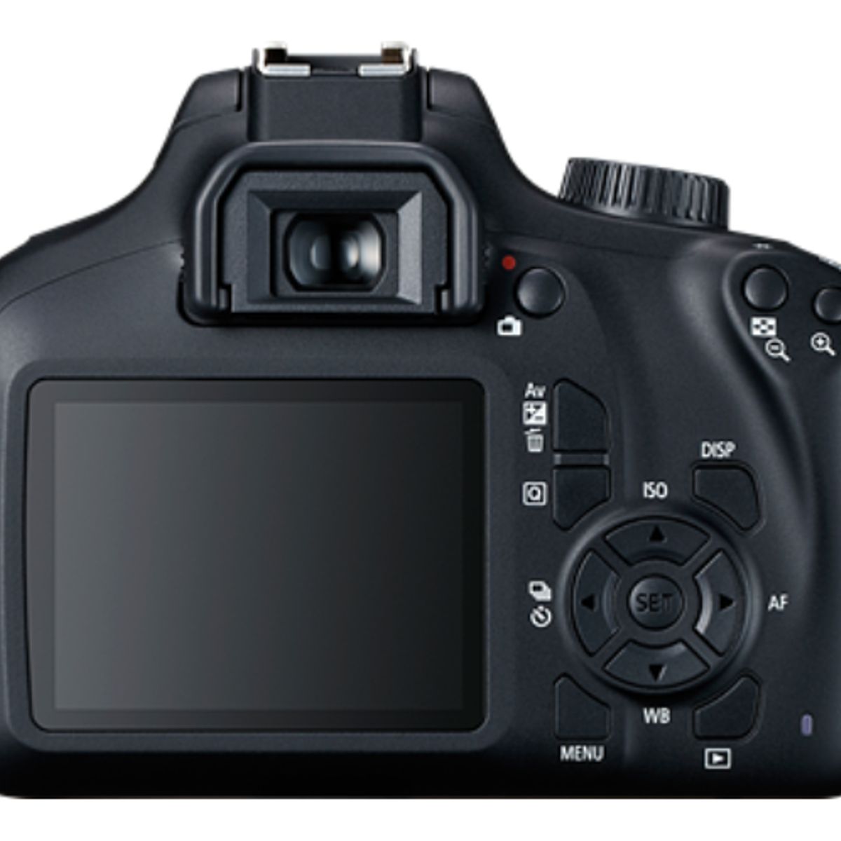 CANON - Canon EOS 2000D Rebel T7 Sólo cuerpo