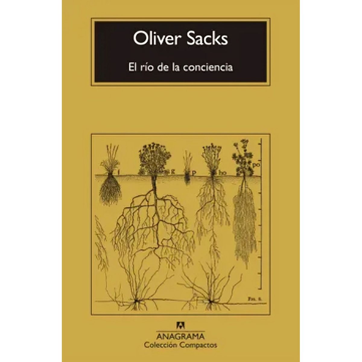 TOP10BOOKS - LIBRO El Río De La Conciencia - El Río De La Conciencia