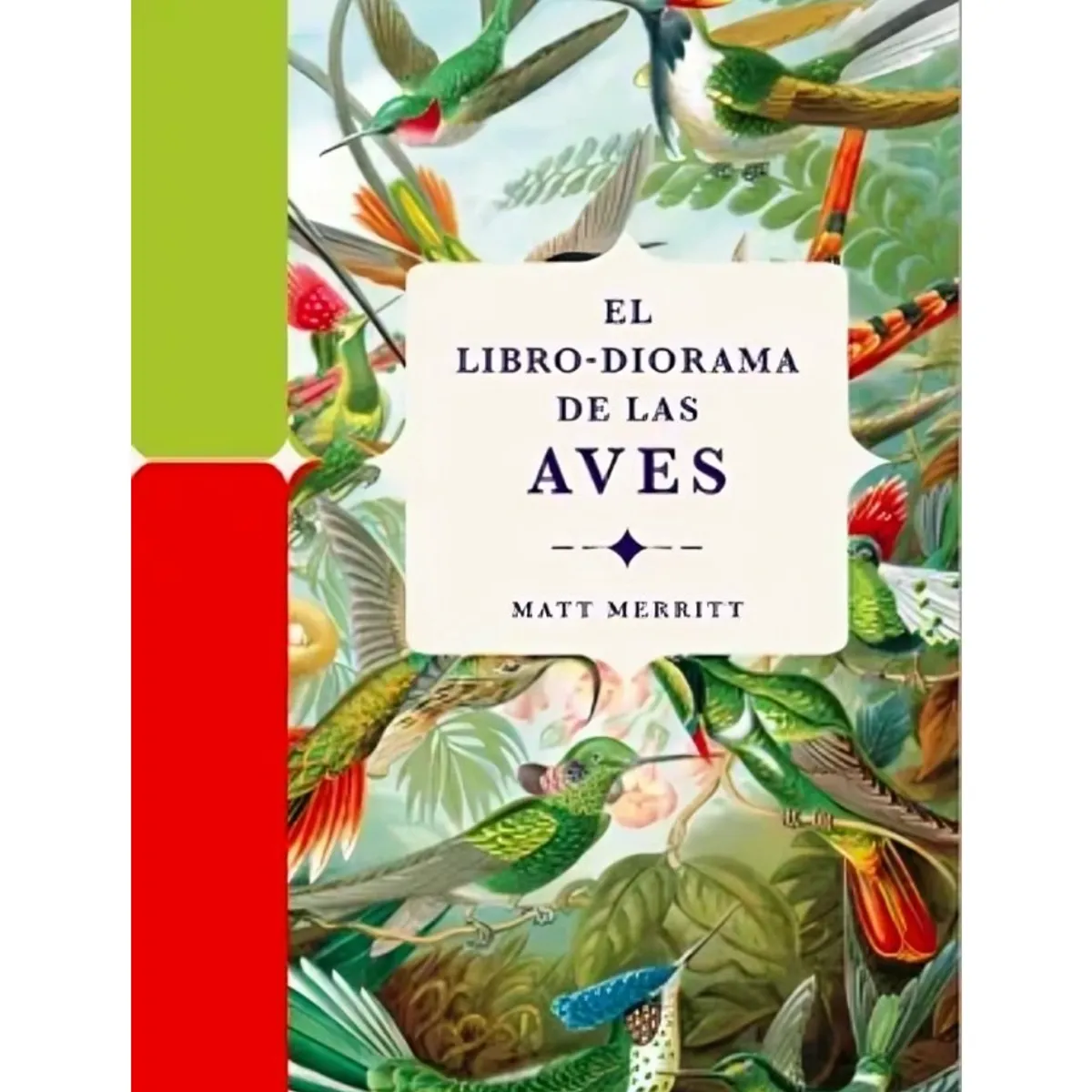 TOP10BOOKS - LIBRO Libro Diorama Aves - LIBRO DIORAMA AVES