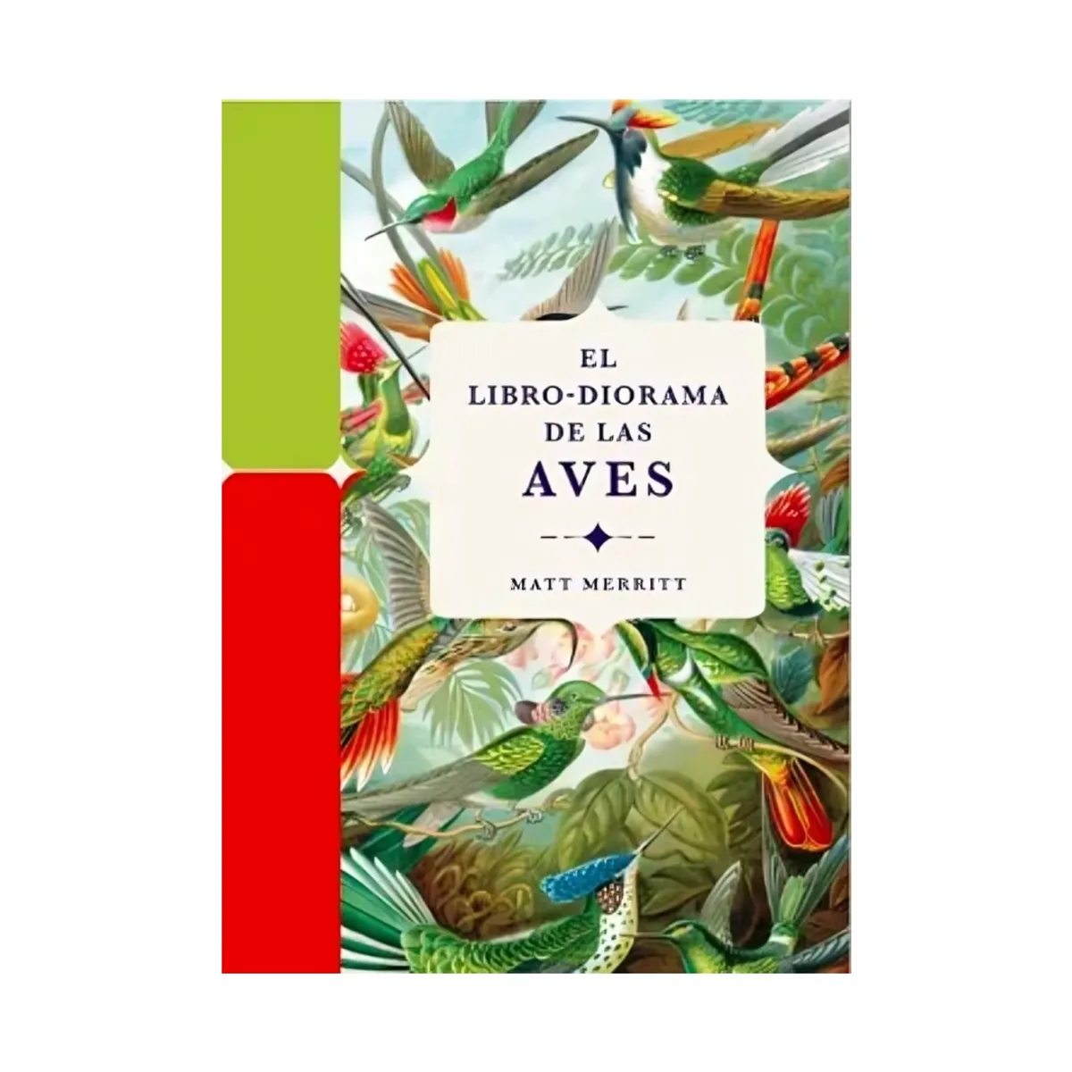TOP10BOOKS - LIBRO Libro Diorama Aves - LIBRO DIORAMA AVES