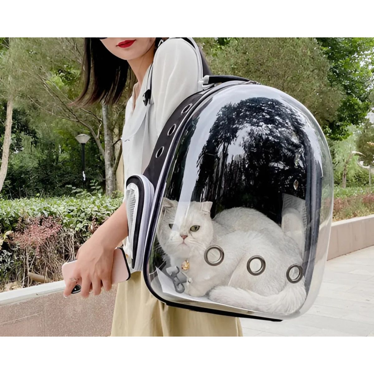GENERICO - Mochila Transporte Para Mascotas Transparente  Color Negro
