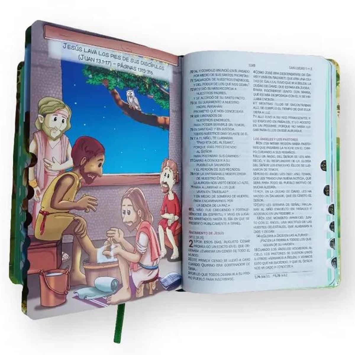 SOCIEDAD BIBLICA CHILENA - Biblia Infantil RVC · Letra Grande · Ilustrada · Canto pintado · Lo que Dios espera de mí