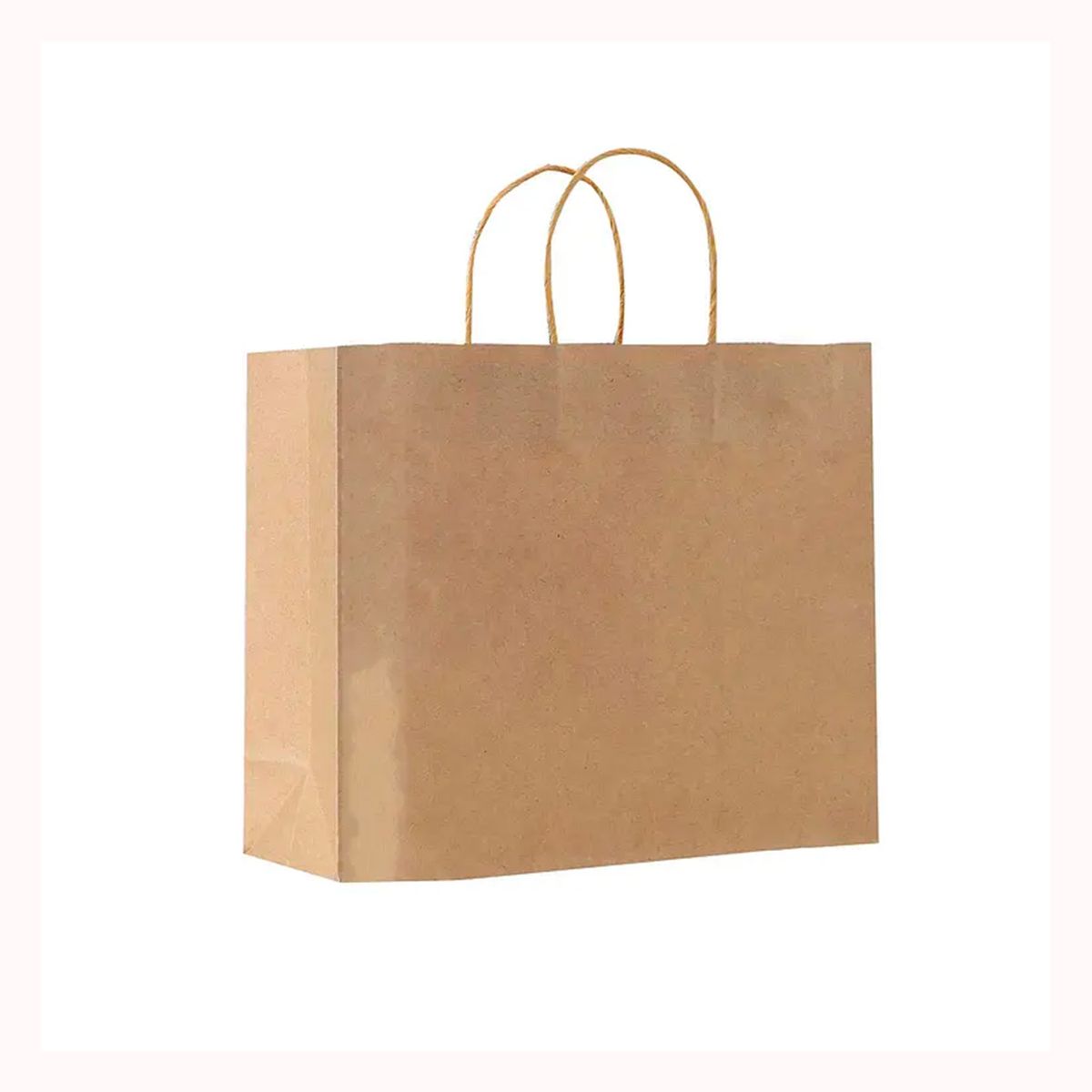 GENERICO - Bolsas papel kraft 12 unidades