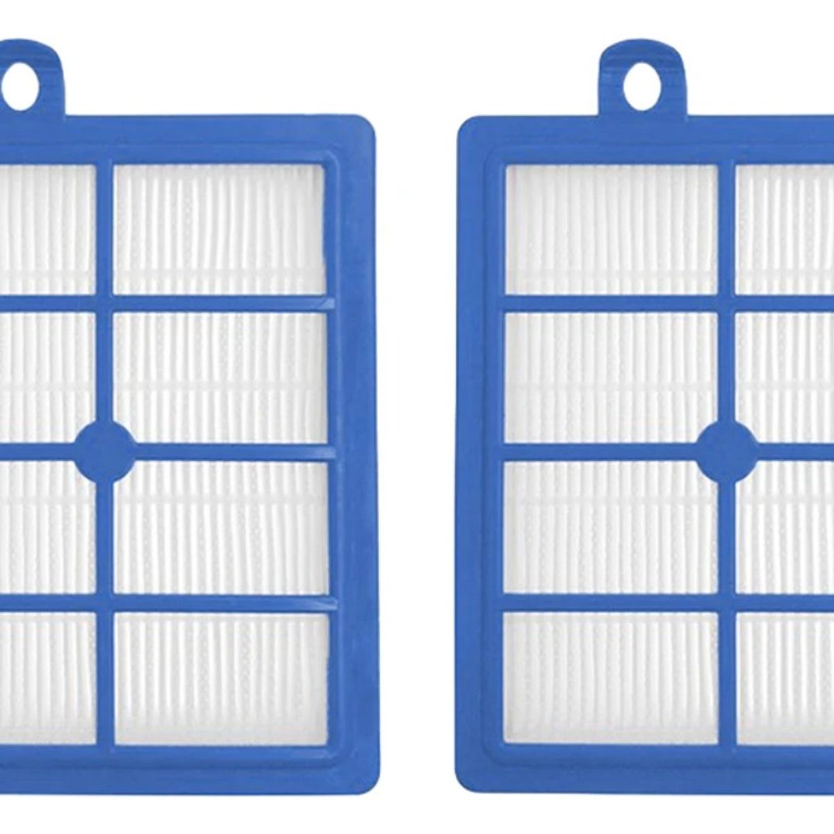 GENERICO - 2 Filtro Hepa Aspiradora Electrolux Phillips H12