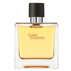 HERMES - Terre d’Hermès Parfum Spray 25 oz Hombre