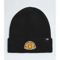 Gorro Tnf Logo Box Cuffed Beanie
