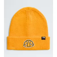 Gorro Tnf Logo Box Cuffed Beanie
