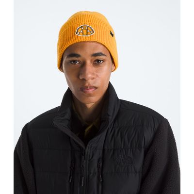Imagen 2 del producto Gorro Tnf Logo Box Cuffed Beanie
