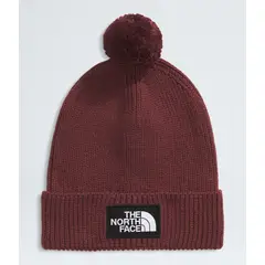 THE NORTH FACE - Gorro Tnf Logo Box Pobeanie