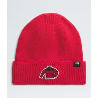 Gorro Tnf Logo Box Cuffed Beanie