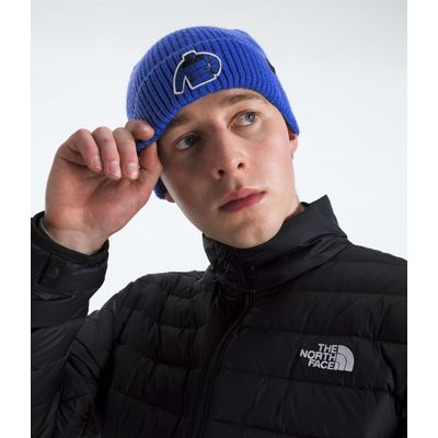 Imagen 2 del producto Gorro Tnf Logo Box Cuffed Beanie