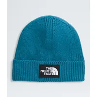 Gorro Tnf Logo Box Cuffed Beanie