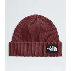 THE NORTH FACE - Gorro Salty Lined Beanie
