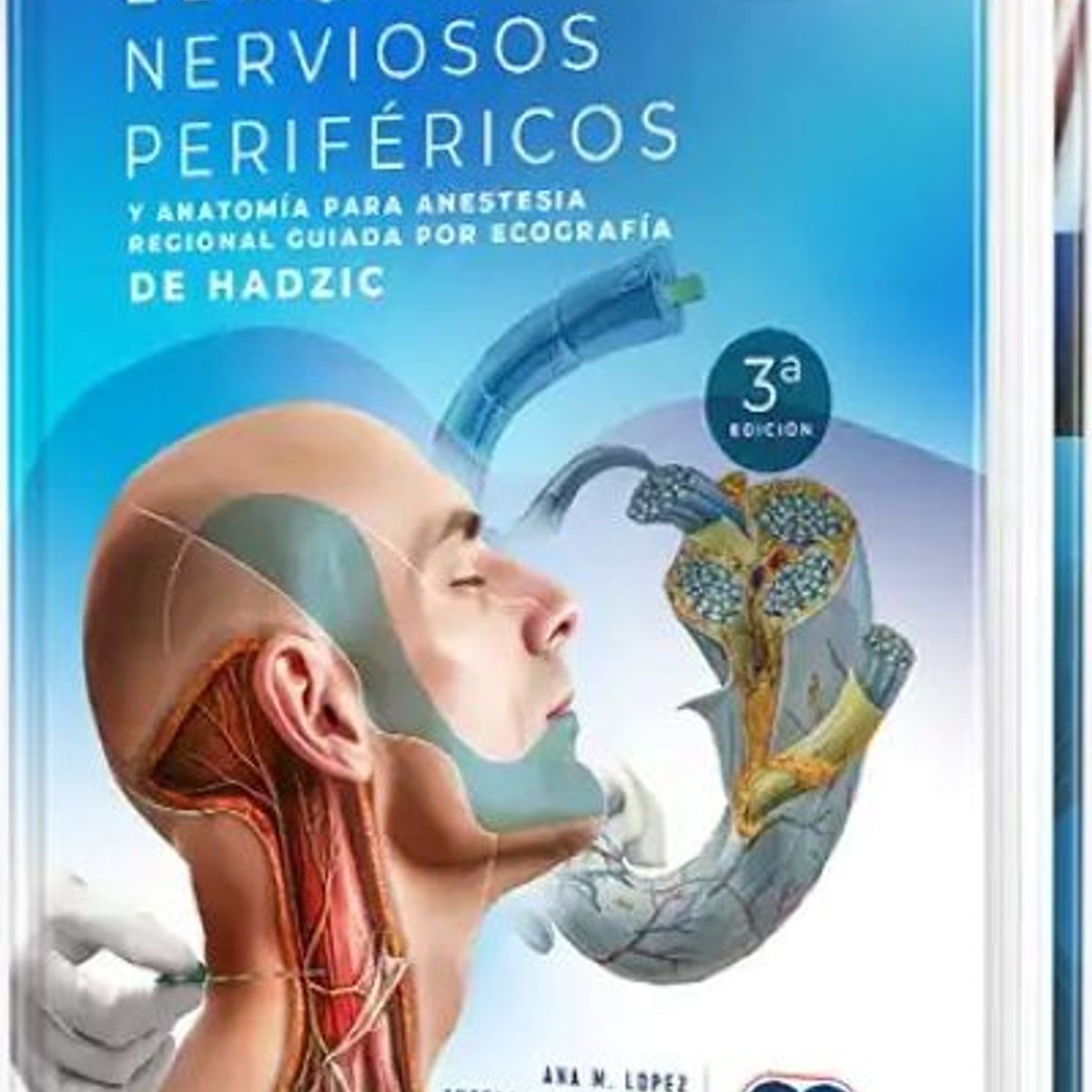 GENERICO - Libro Bloqueos nerviosos periféricos y anatomía para anestesia regional guiada por ecografía de Hadzic