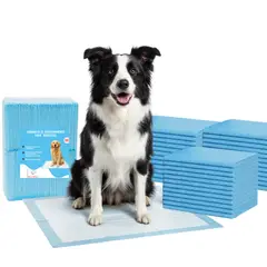 GENERICO - 40 Pañales Sabanillas Entrenamiento Mascotas Perros Y Gatos 60x60cm Absorbentes