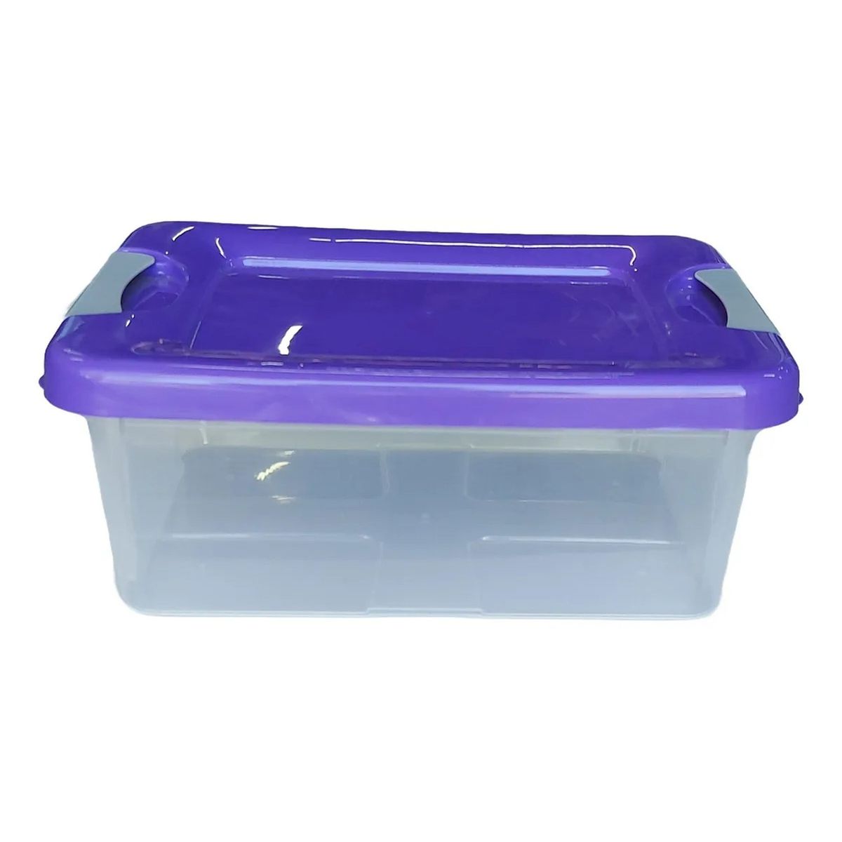 GENERICO - Caja De Almacenamiento Plástica Apilable Transparentes Tapa Color