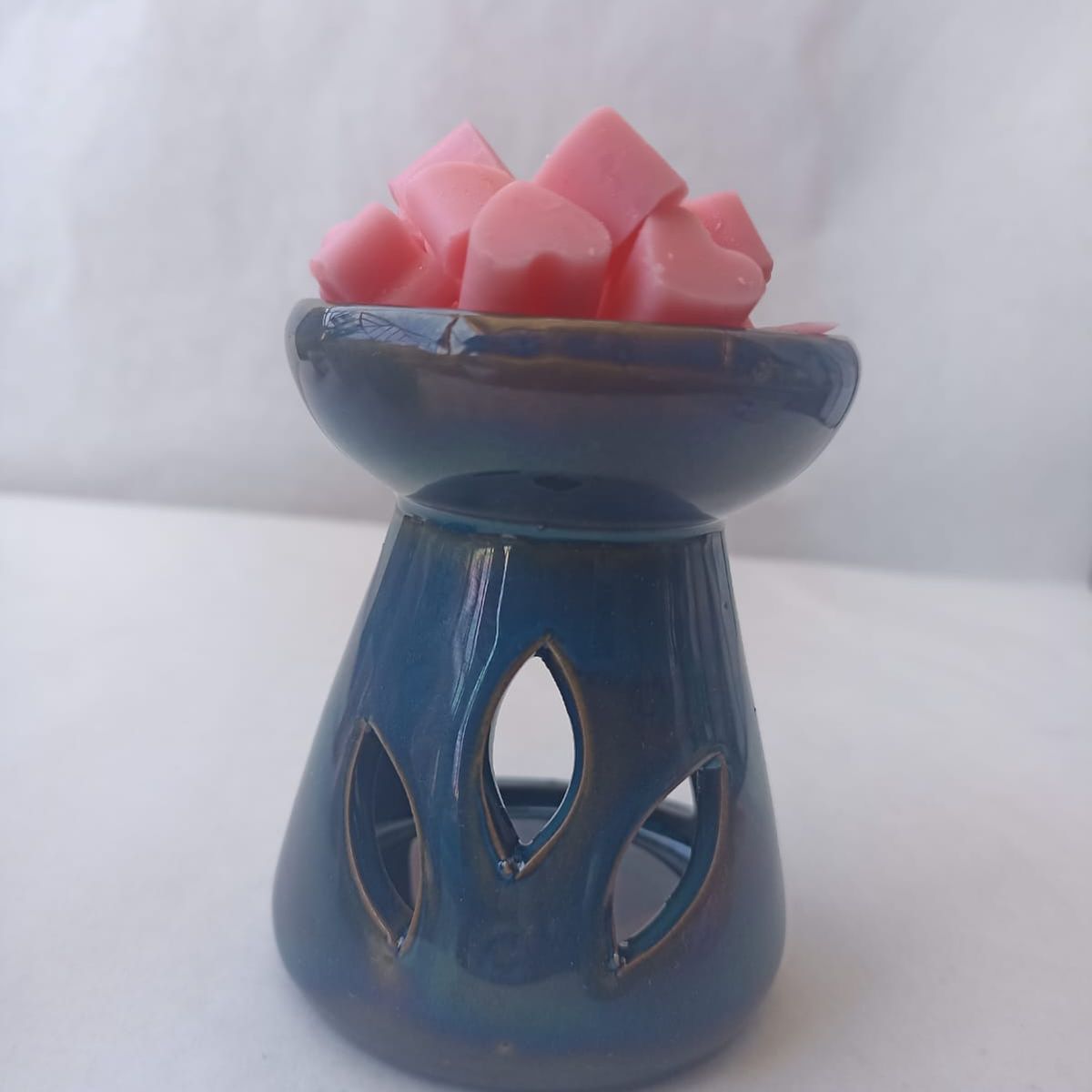 GENERICO - Set Dulce Refugio Quemador Azul + Pack Frutas del Bosque & Trópico