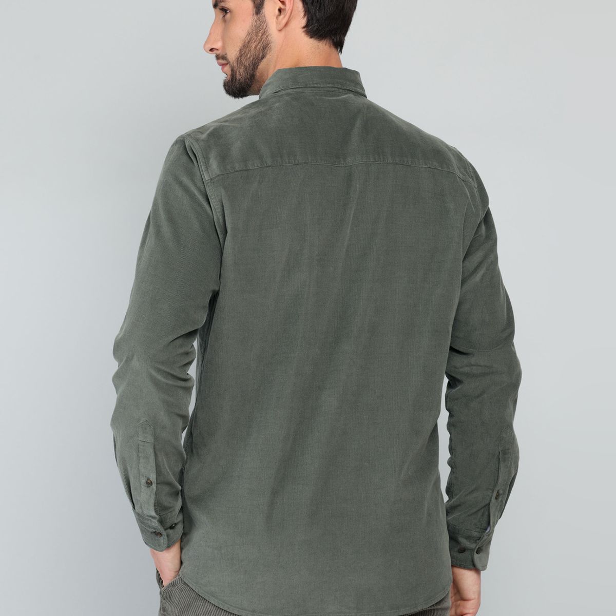 ARROW - Camisa Cotelé Regular Fit Oliva Arrow ARROW
