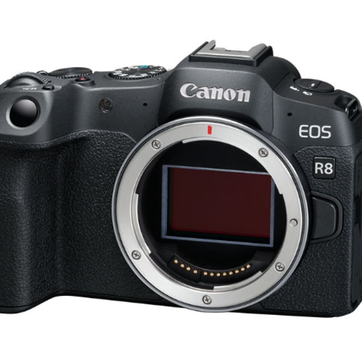 CANON - Canon Cámara Mirrorless EOS R8 Sólo Cuerpo