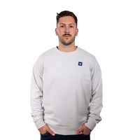 Poleron Hombre Crew Neck Minilogo Gris Claro