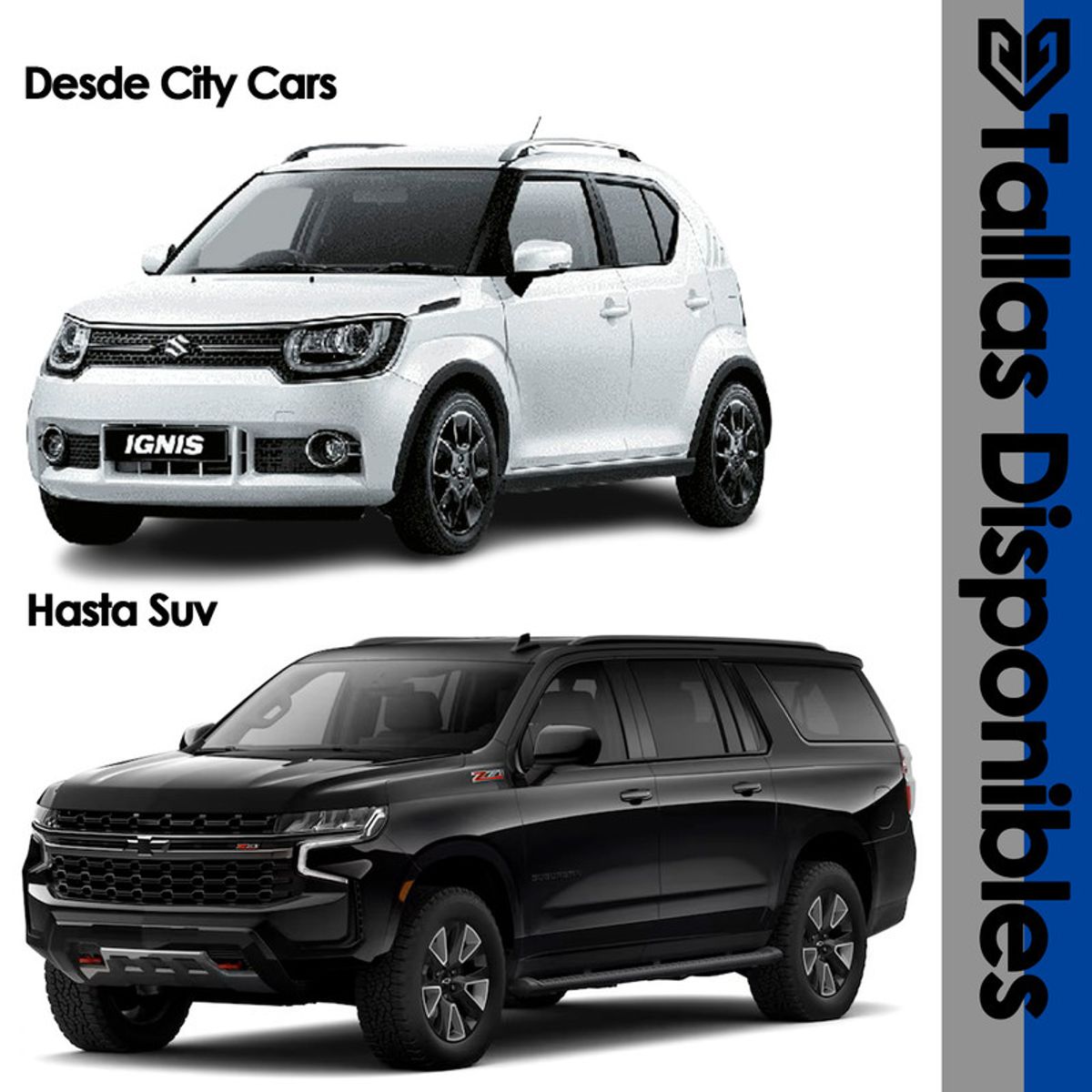 GENERICO - Carpa Cubre Auto Premium Resistencia Total Interior Felpa - Gris - YXXL