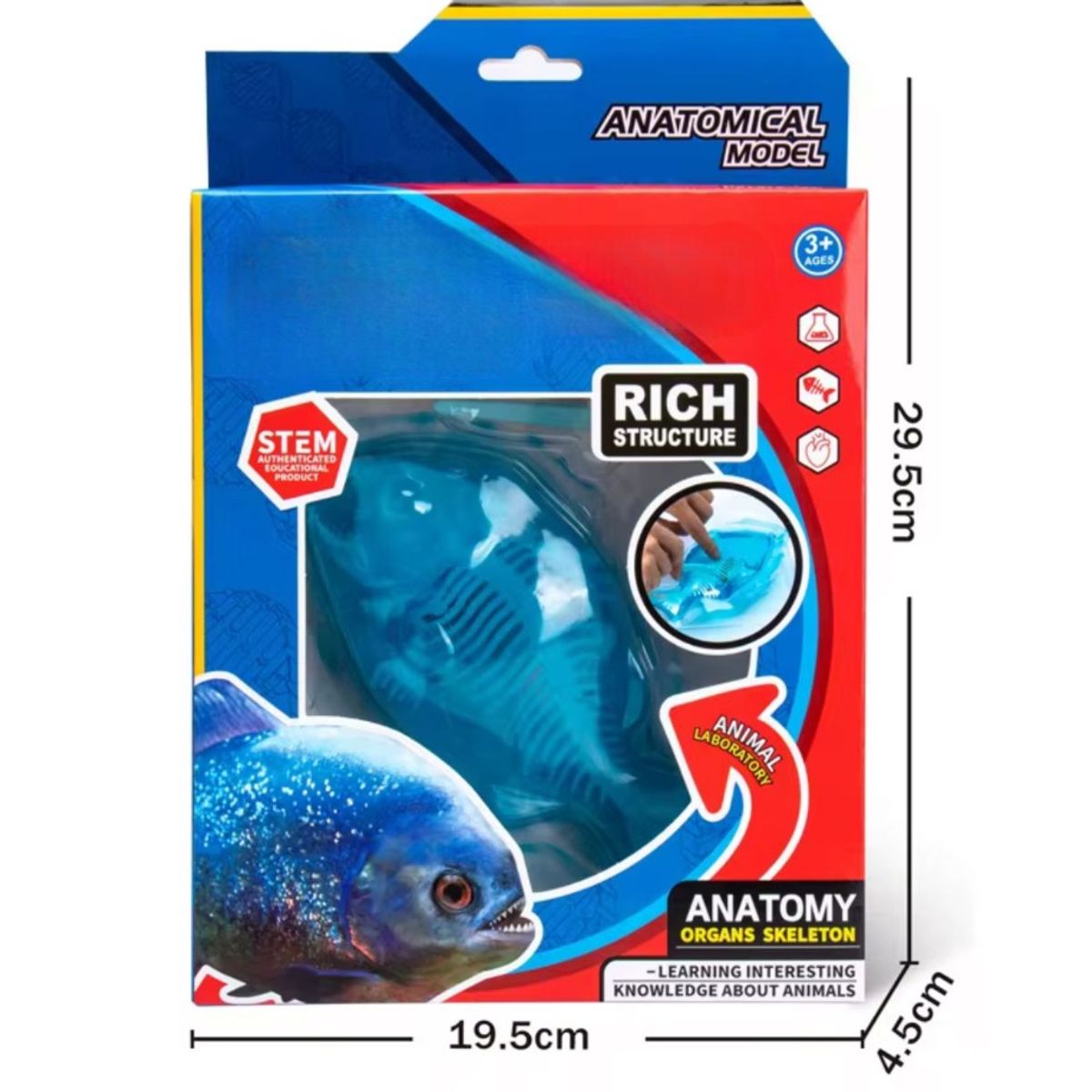 GENERICO - Kit Educativo de Ciencias para Niños Juego de Disección Animal pez