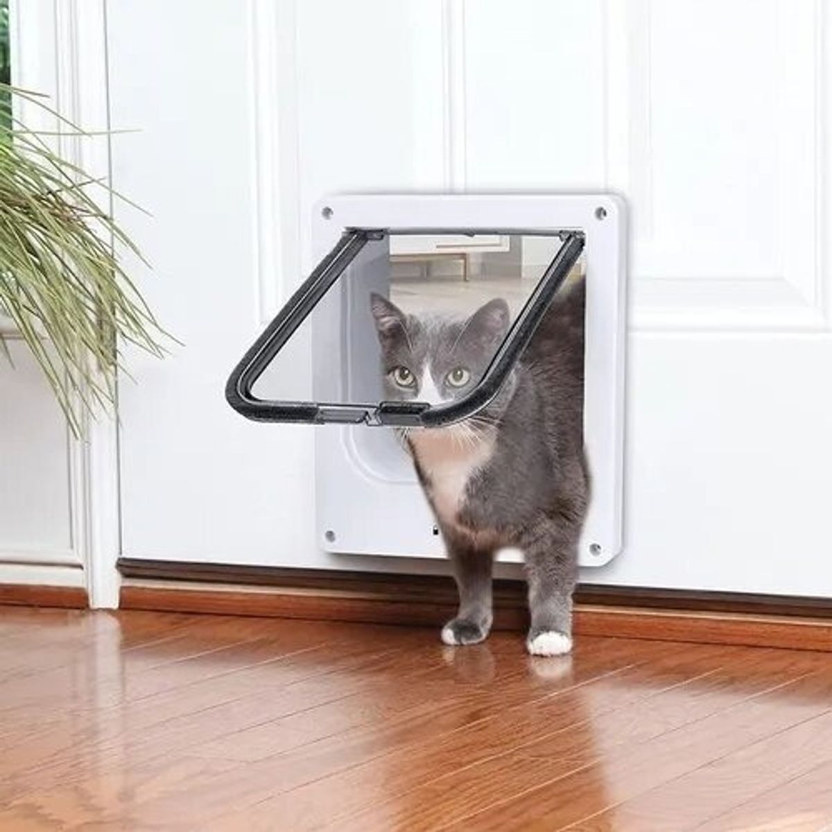 GENERICO - Puerta Para Gatos Y Perro Abatible Puerta Exterior Blanco
