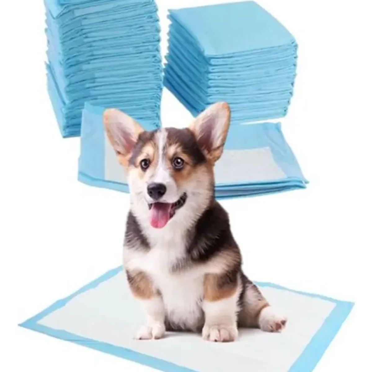 GENERICO - Sabanillas Entrenamiento Mascotas 60x45 Pack 50 Un Absorbente