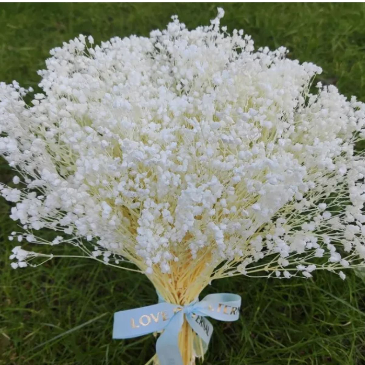 GENERICO - Flores Secas Aliento De Bebe Ilusiones Gypsophila Arreglos