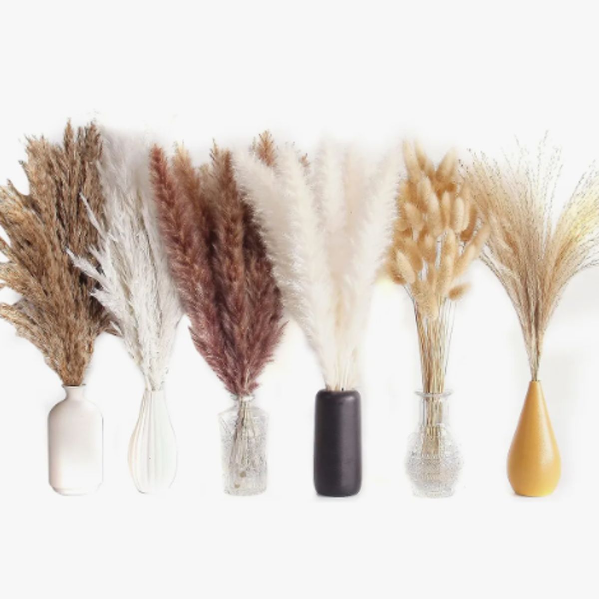 GENERICO - 110 Pcs Ramo De Flores Secas Pampas Grass Y Cola De Conejo Beige