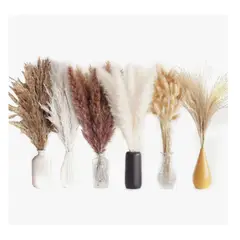 GENERICO - 110 Pcs Ramo De Flores Secas Pampas Grass Y Cola De Conejo Beige