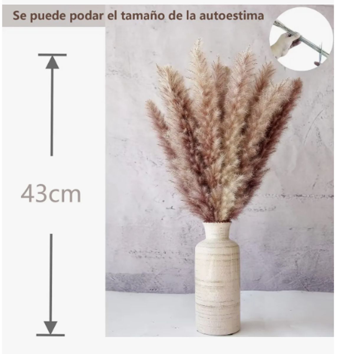 GENERICO - 110 Pcs Ramo De Flores Secas Pampas Grass Y Cola De Conejo Beige