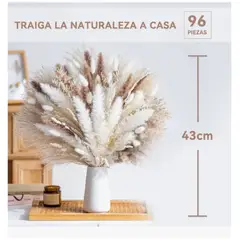 GENERICO - 96 Pcs Ramo De Flores Secas Pampas Grass Y Cola De Conejo Crema