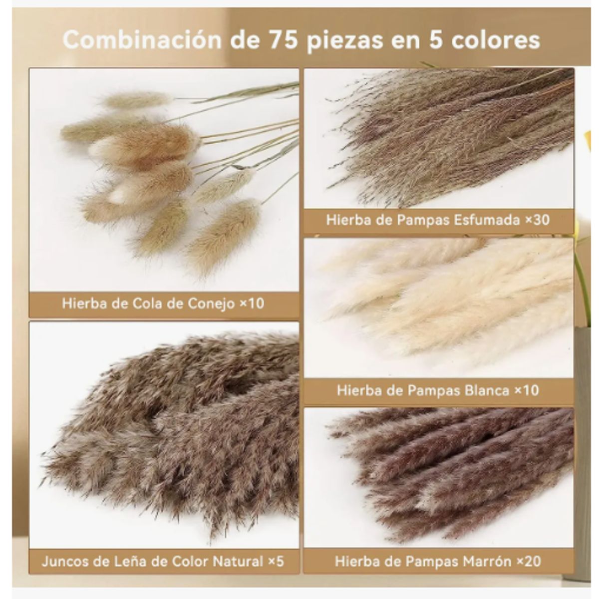 GENERICO - 75 Pcs Ramo De Flores Secas Pampas Grass Y Cola De Conejo Beige