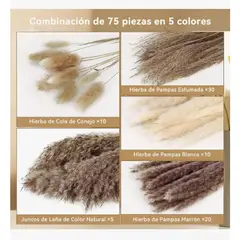 GENERICO - 75 Pcs Ramo De Flores Secas Pampas Grass Y Cola De Conejo Beige