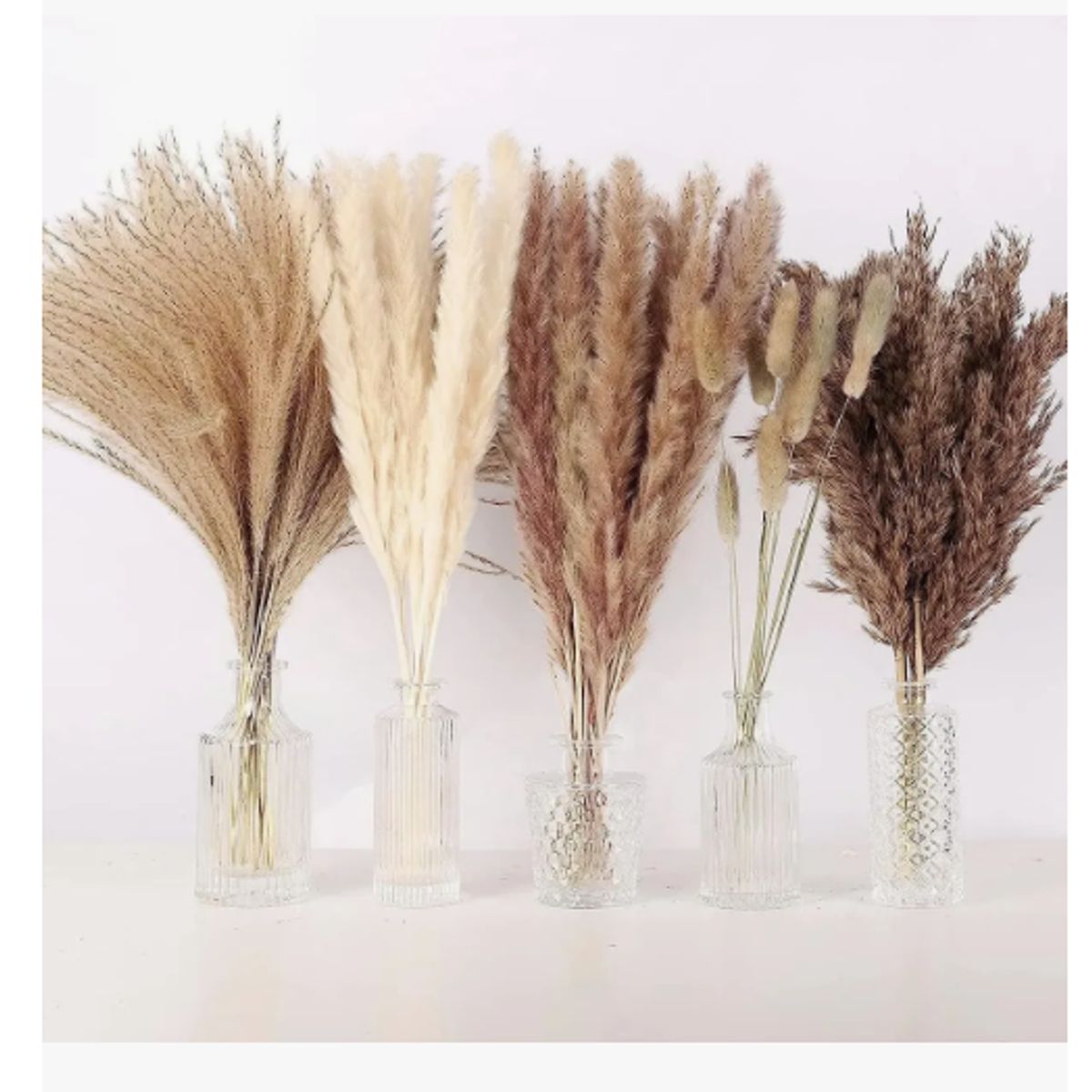 GENERICO - 75 Pcs Ramo De Flores Secas Pampas Grass Y Cola De Conejo Beige