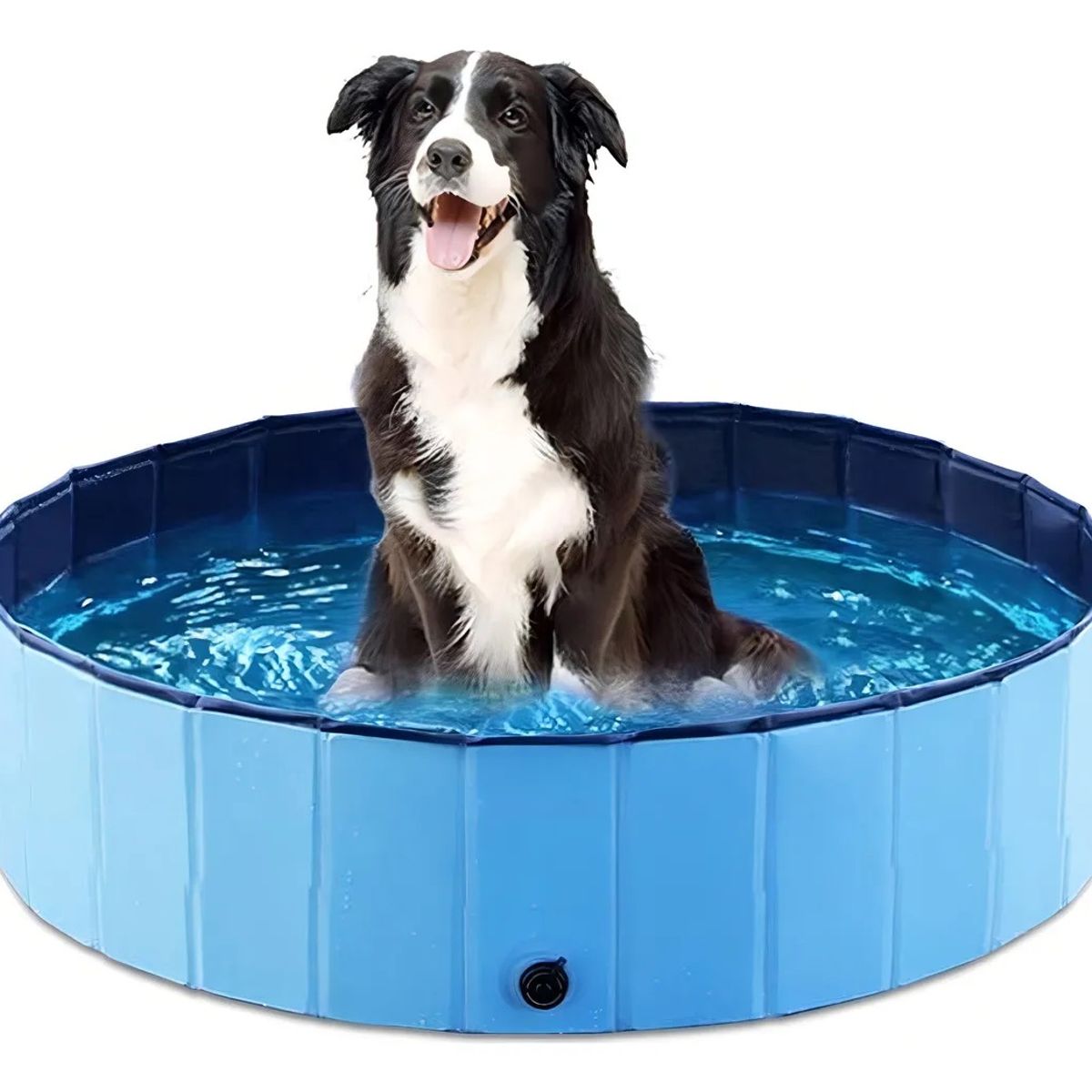 GENERICO - Piscina Circular Plegable Baño Para Perros De 50x10 Azul