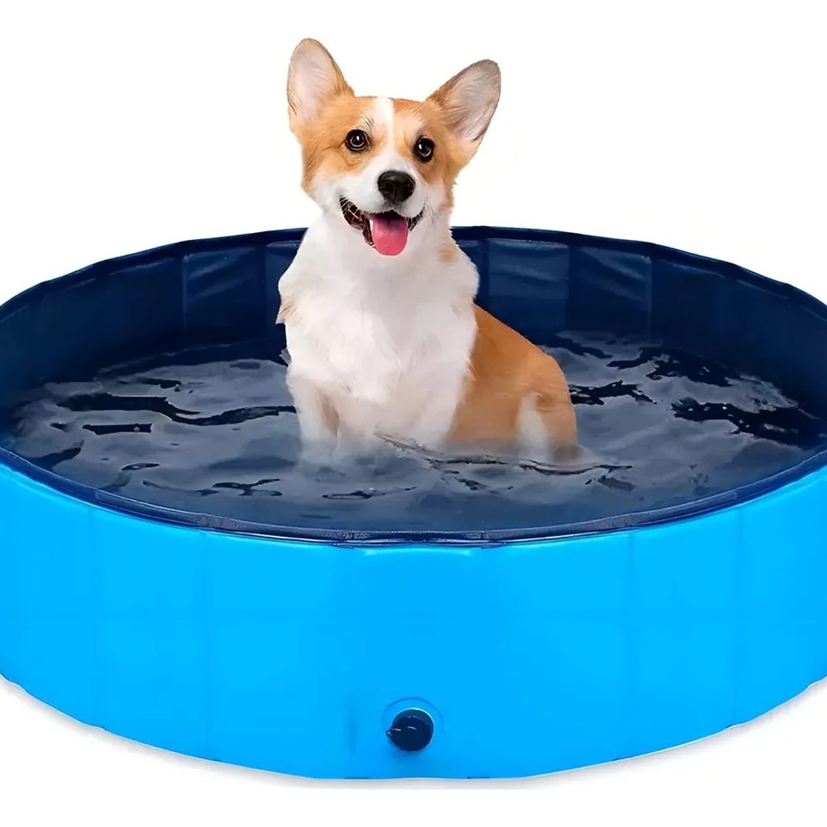 GENERICO - Piscina Circular Plegable Baño Para Perros De 50x10 Azul