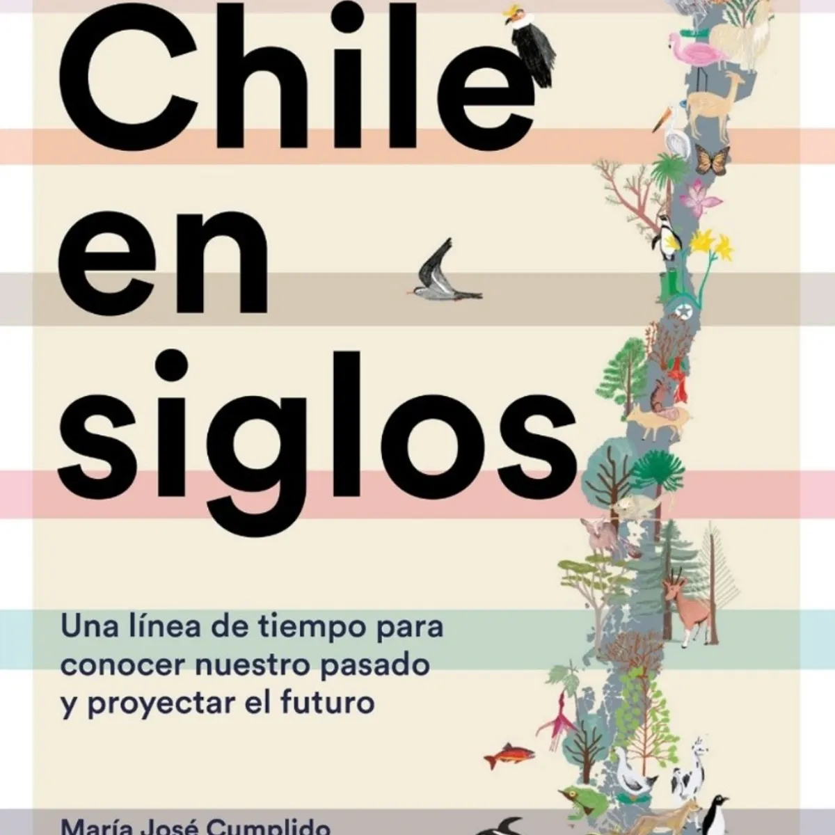 TOP10BOOKS - LIBRO Chile En Siglos - Chile En Siglos