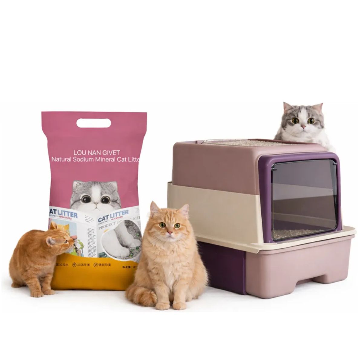 SUKEA - Pack De Arena 10kg Bajo Polvo + Arenero Grande Con Pala Lila