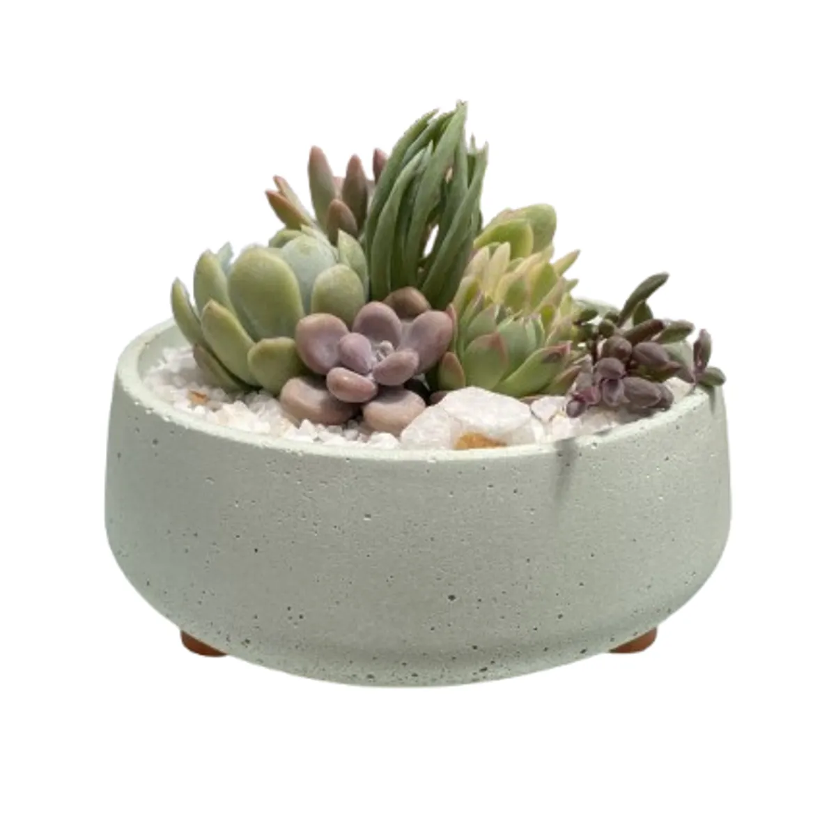 GENERICO - Macetero Martina Verde Paila 16cm diametro