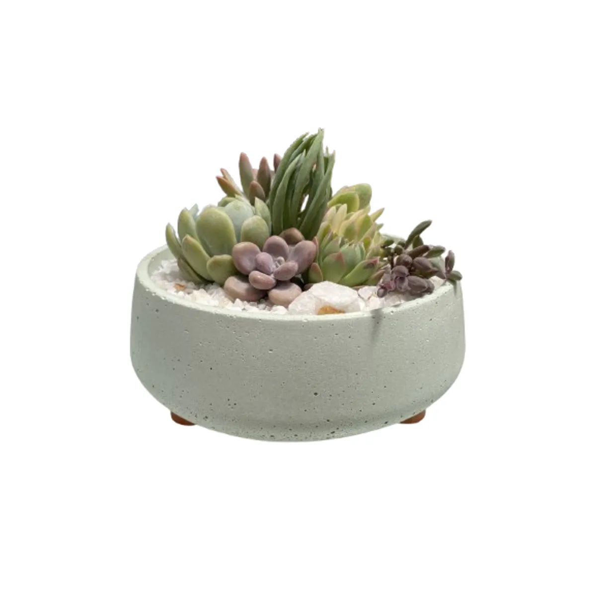 GENERICO - Macetero Martina Verde Paila 16cm diametro