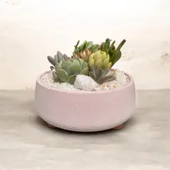 GENERICO - Macetero Martina Rosado Paila 16cm diametro