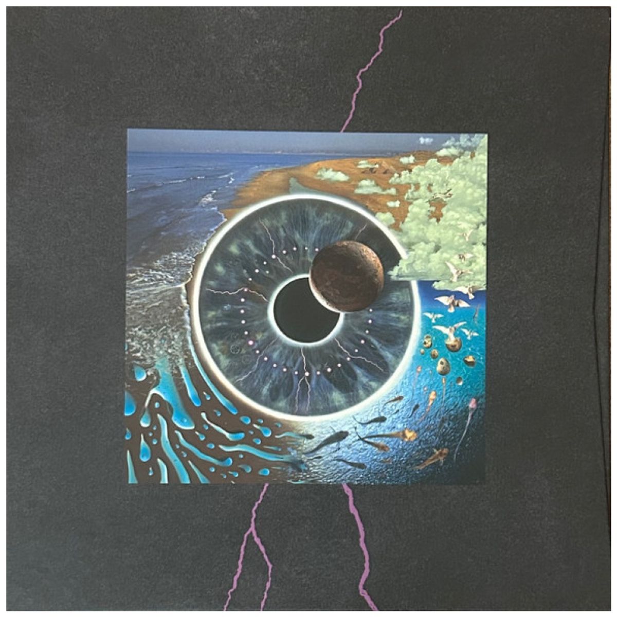 HITWAY MUSIC - PINK FLOYD - PULSE BOXSET 4LP+BOOK - VINILO