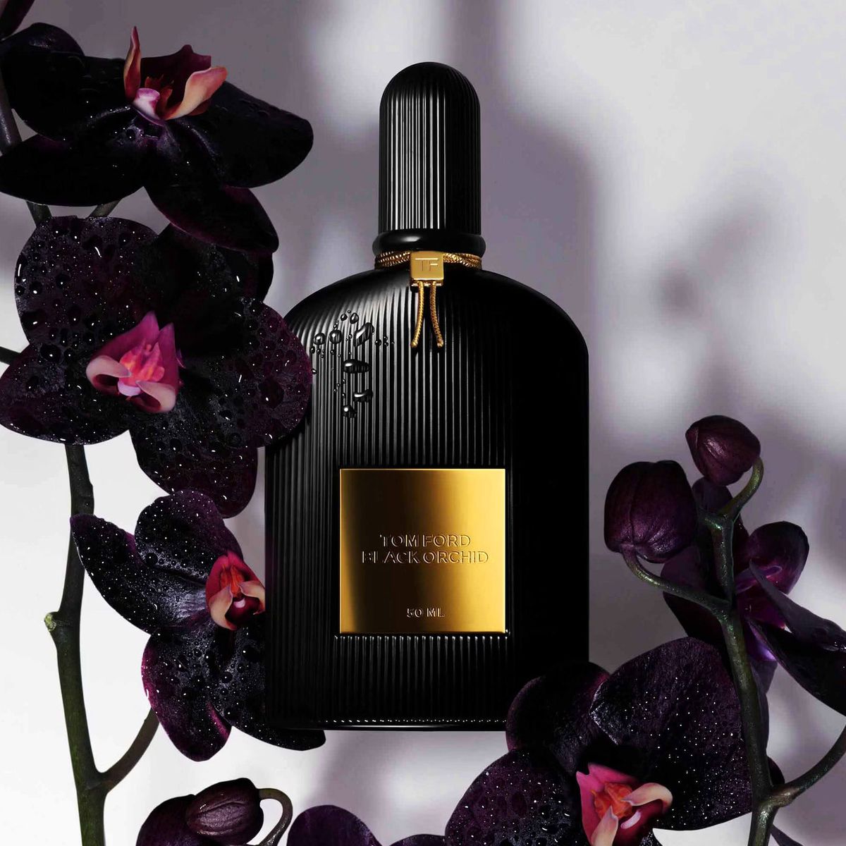 TOM FORD - Tom Ford Black Orchid Edp 100ml Mujer